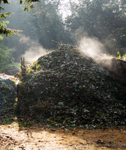 compost heap