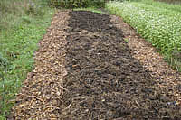 sheet mulch