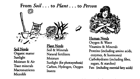soil to person